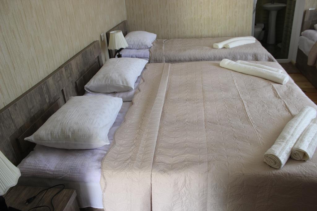 Inga Guest House Казбеги Екстериор снимка